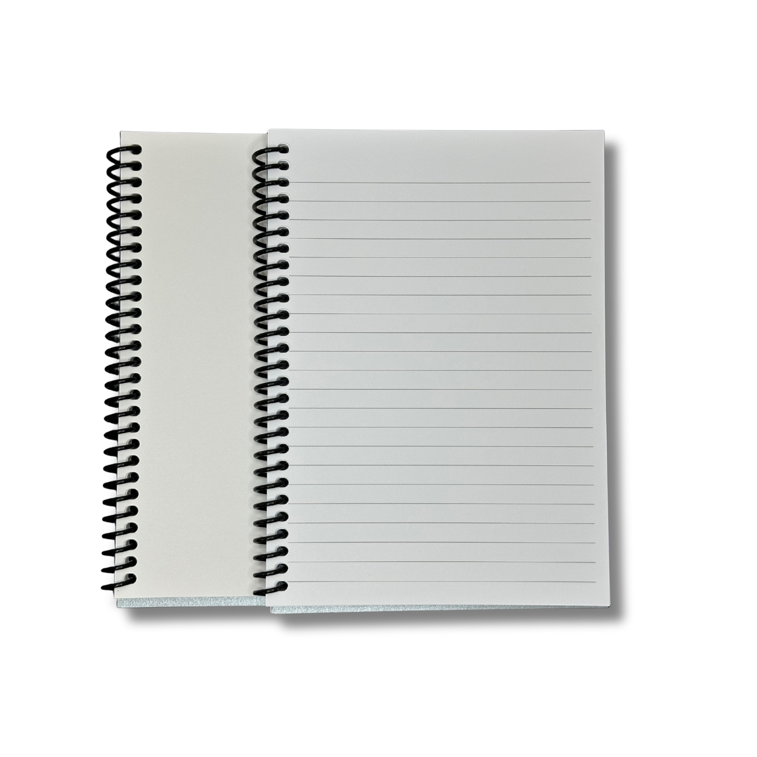 Dance Notebook Set — Silver